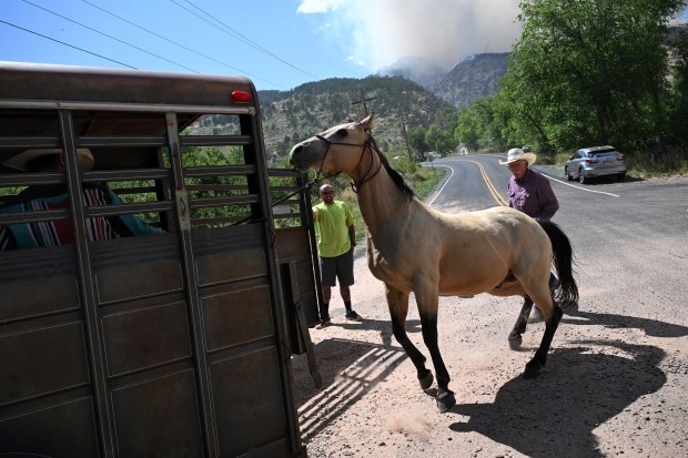 Wranglers from Sylvan Dale Ranch round up some of their 80+ horses to put them on trailers to take them to safety away from the Alexander Mountain fire burning west of Loveland on July 29, 2024. (Photo by Helen H. Richardson/The Denver Post)