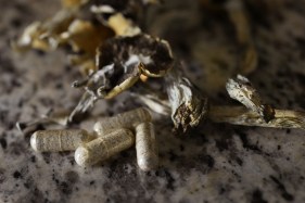 Anyone seeking to become part of Colorado’s psychedelics industry by growing mushrooms, operating a healing center, or manufacturing psilocybin edibles now has guidance on how to do so legally.