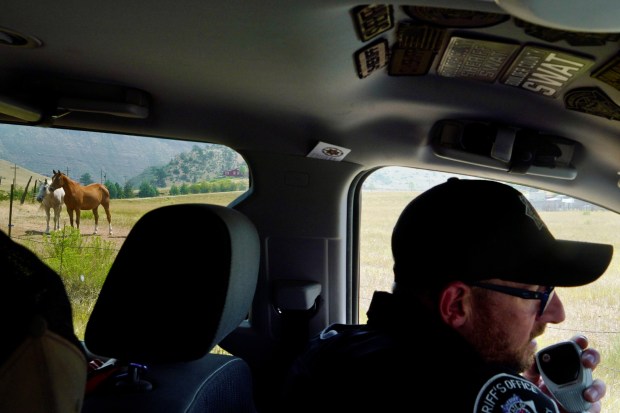 Boulder County sheriff's Sgt. Cody Sears radios to incident command about evacuees while two horses stand on the side of their pasture furthest from the Stone Canyon fire near Lyons on Wednesday, July 31, 2024. (Photo by Zachary Spindler-Krage/The Denver Post)