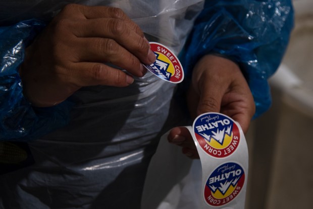 A worker with the Tuxedo Corn Company prepares stickers to place on packages of Olathe Sweet brand sweet corn in a packaging facility in Olathe, Colo., Monday morning, July 22, 2024. (Special to The Denver Post, William Woody)