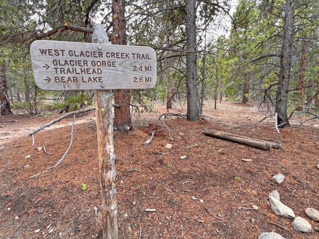 The Glacier Creek Trail passes through ponderosa forest and along Glacier Creek, connecting with many trail in the Bear Lake Corridor. (Dawn Wilson Photography)