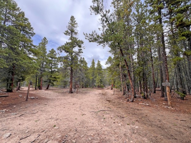 The Glacier Creek Trail reaches a junction with several other trails that lead to Bear Lake, Glacier Gorge Trailhead, Storm Pass, Bierstadt Lake and Sprague Lake in Rocky Mountain National Park. (Dawn Wilson Photography)